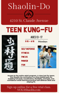 Teen Kung Fu Ages 13 -17 Mondays 5:15 - 6:15